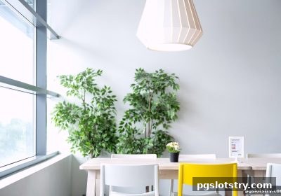 pg电子试玩网 | 桌游角色类型与玩法精讲：从基础到进阶