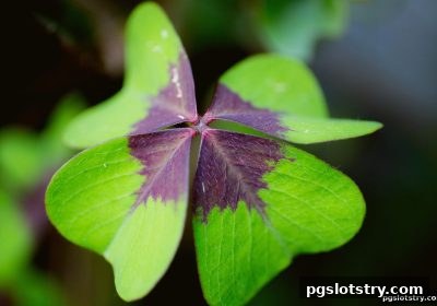 大乐透策略全解析：pg电子试玩网带你玩转选号与资金管理