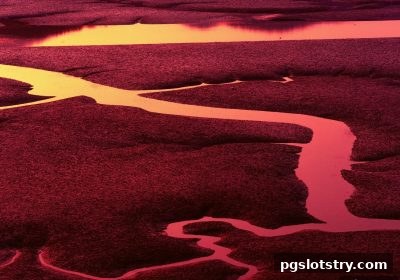 pg电子试玩网深度剖析：彩票选号策略与轮盘技巧的全方位探索