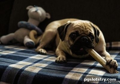 捕鱼王炸金花全攻略：pg电子试玩网深度解析规则技巧与运气博弈