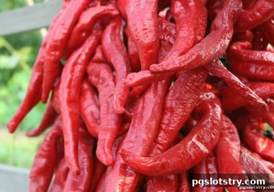 pg电子试玩网真人游戏致胜策略实例分析