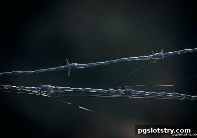 pg电子试玩网深度解析：网上娱乐活动的法律红线与奖励领取全攻略