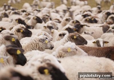 pg电子试玩网深度解析：为何LOL赛事精彩镜头值得系统收藏？